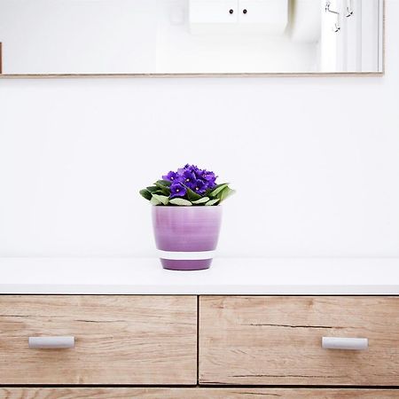 טרוגיר Apartment Anica מראה חיצוני תמונה