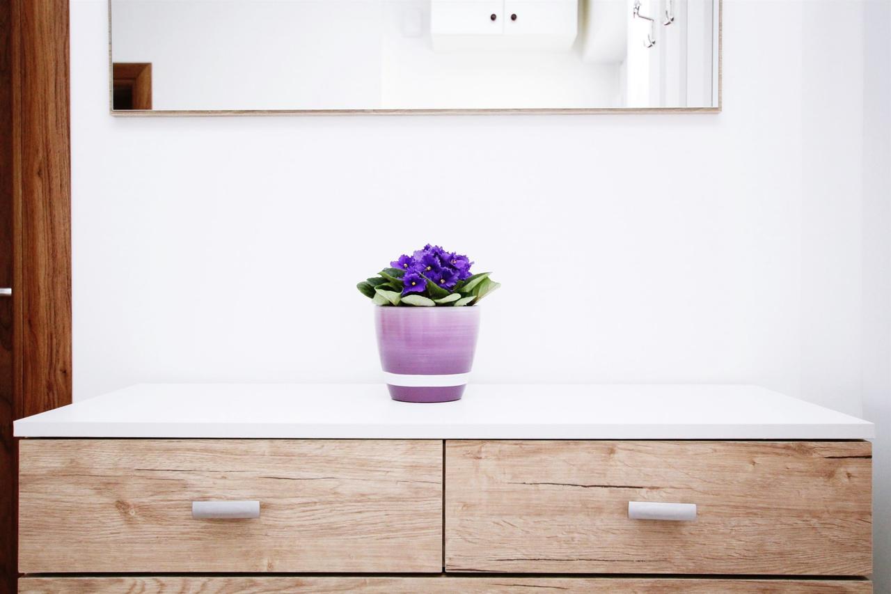 טרוגיר Apartment Anica מראה חיצוני תמונה